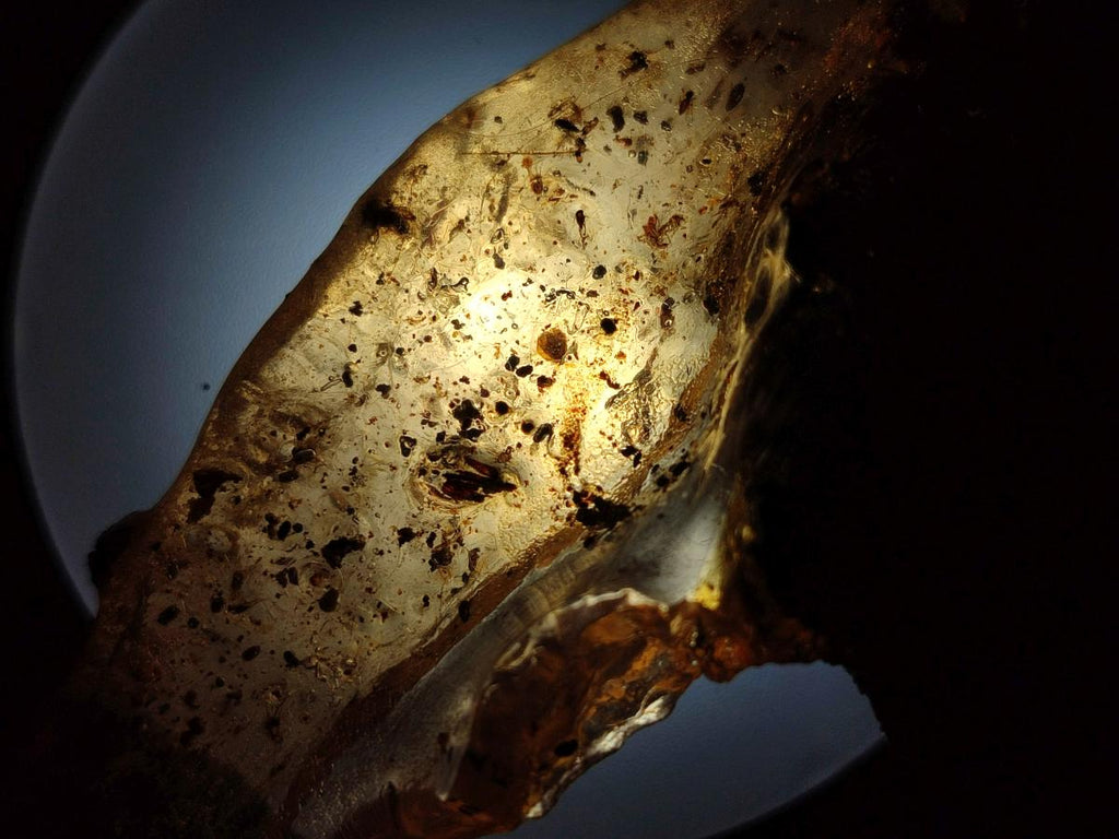Natural Copal Amber with Inclusions x 1 From Nosy Varika Madagascar