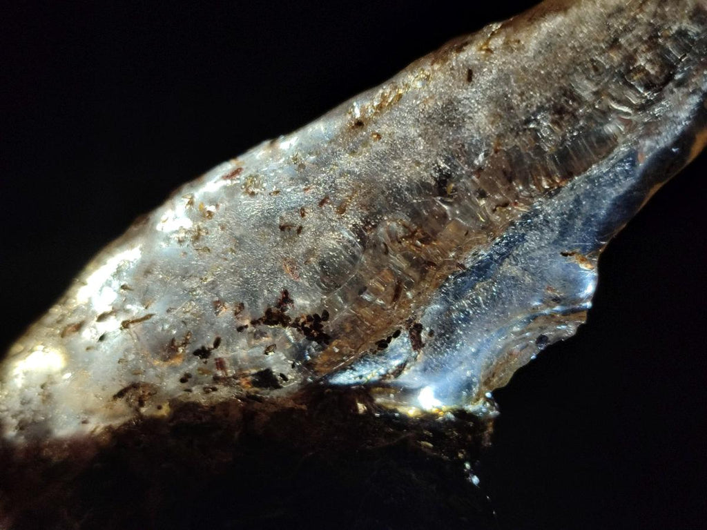 Natural Copal Amber with Inclusions x 1 From Nosy Varika Madagascar