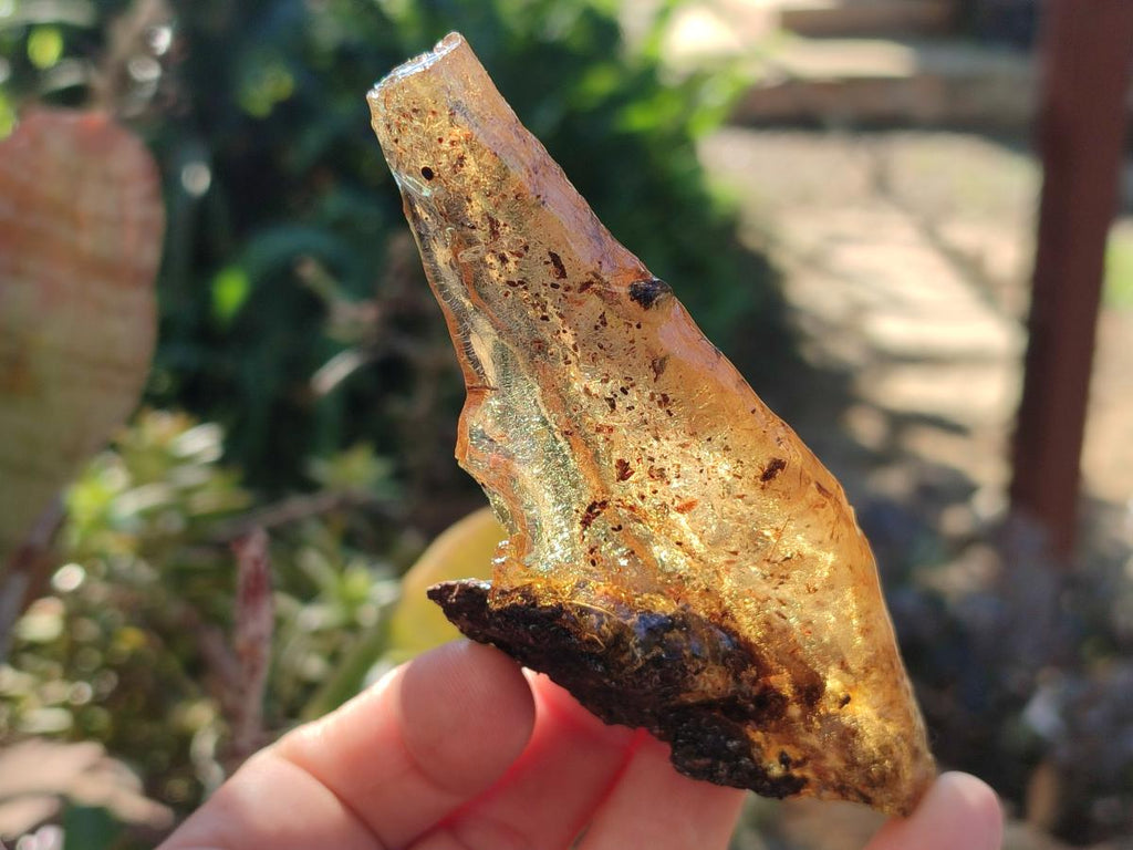 Natural Copal Amber with Inclusions x 1 From Nosy Varika Madagascar