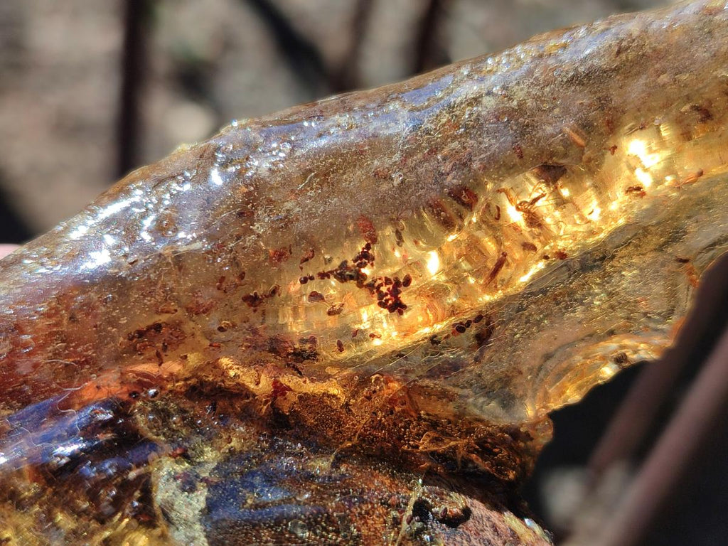 Natural Copal Amber with Inclusions x 1 From Nosy Varika Madagascar