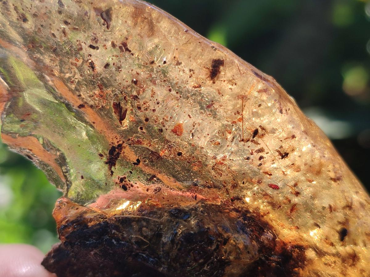 Natural Copal Amber with Inclusions x 1 From Nosy Varika Madagascar