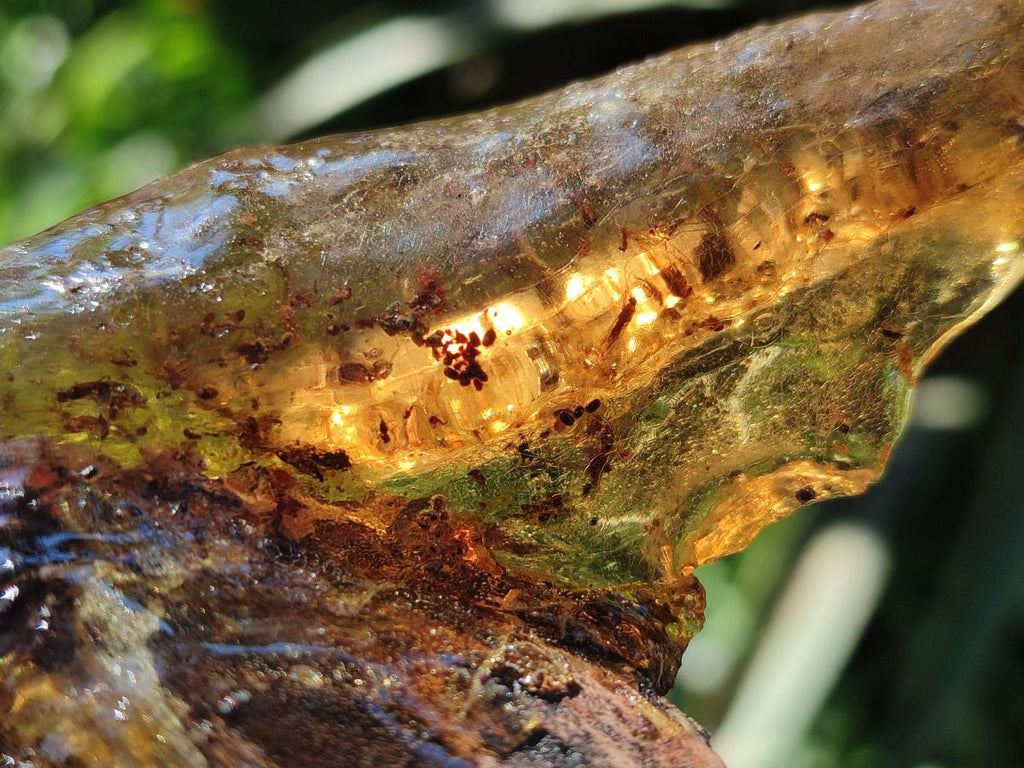 Natural Copal Amber with Inclusions x 1 From Nosy Varika Madagascar