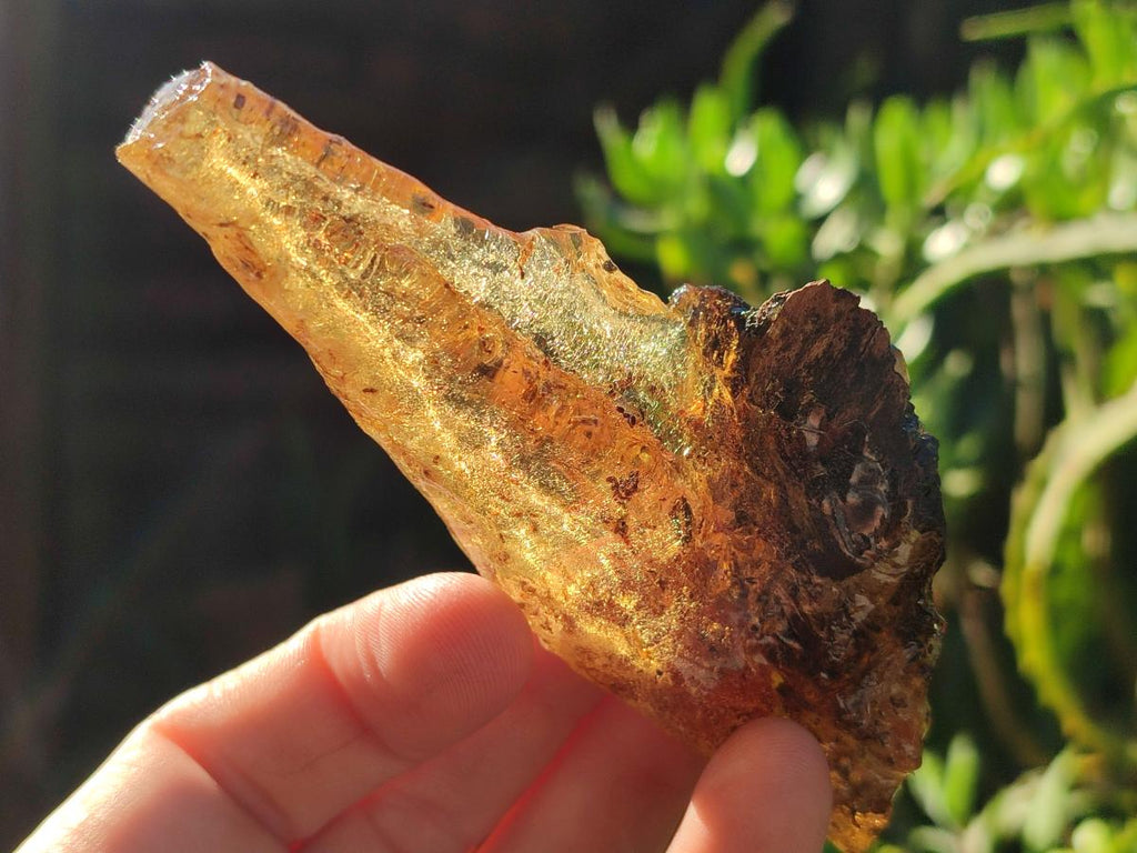 Natural Copal Amber with Inclusions x 1 From Nosy Varika Madagascar