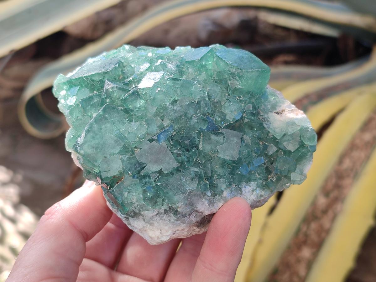 Natural Cabinet Size Cubic Fluorite Specimen x 1 From Mandrosonoro Madagascar