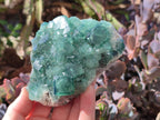 Natural Cabinet Size Cubic Fluorite Specimen x 1 From Mandrosonoro Madagascar