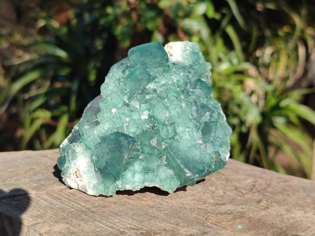 Natural Cabinet Size Cubic Fluorite Specimen x 1 From Mandrosonoro Madagascar