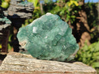 Natural Cabinet Size Cubic Fluorite Specimen x 1 From Mandrosonoro Madagascar