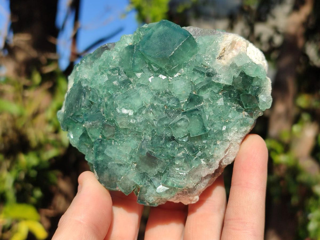 Natural Cabinet Size Cubic Fluorite Specimen x 1 From Mandrosonoro Madagascar