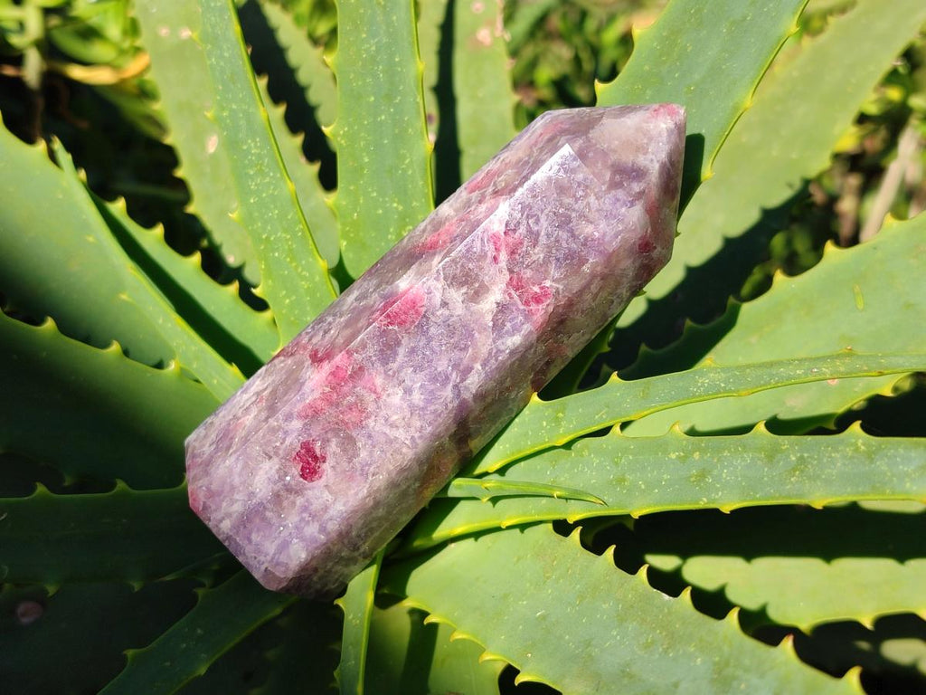 Polished Purple Lepidolite Display Crystal with Pink Rubellite Tourmaline x 1 From Madagascar