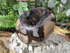 Polished Large Septerye Sauvage "Dragons Egg" x 1 From Mahajanga, Madagascar