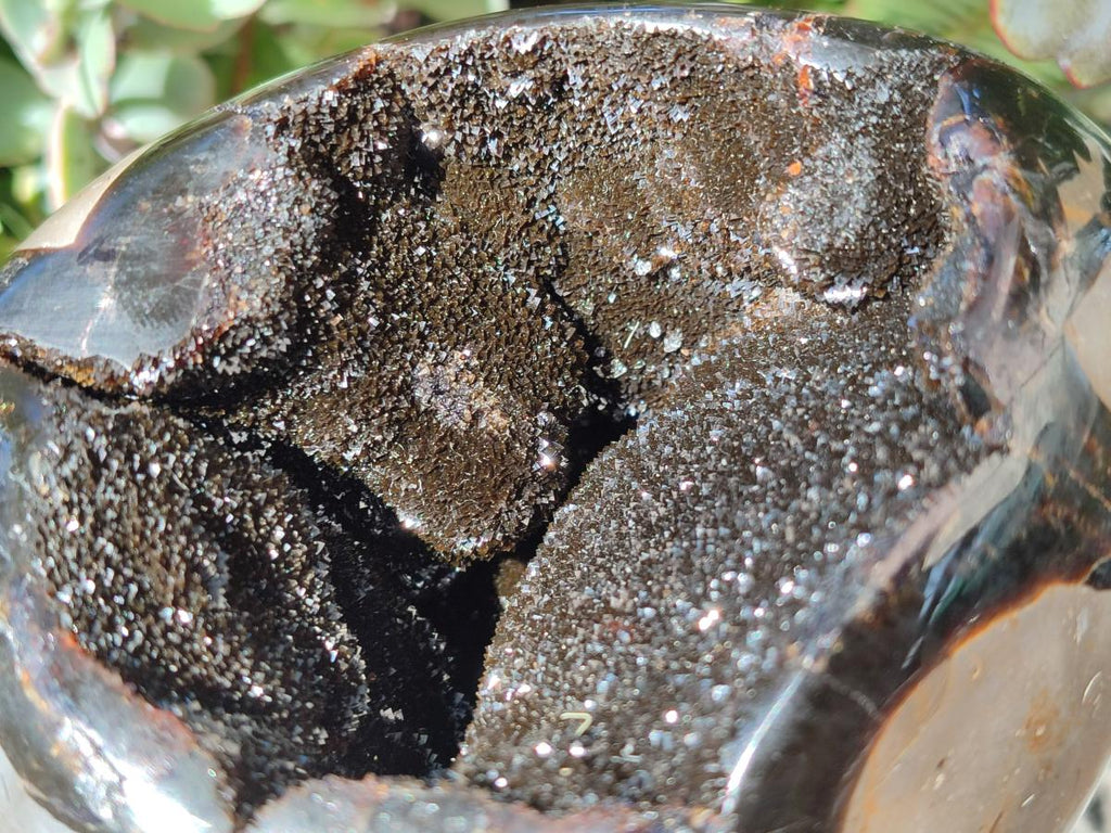 Polished Large Septerye Sauvage "Dragons Egg" x 1 From Mahajanga, Madagascar