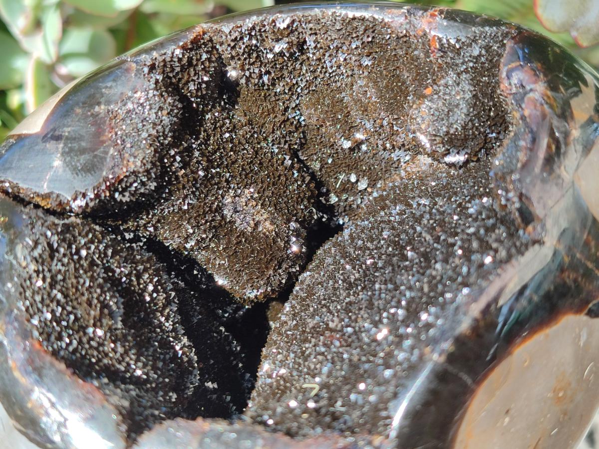 Polished Large Septerye Sauvage "Dragons Egg" x 1 From Mahajanga, Madagascar