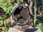 Polished Large Septerye Sauvage "Dragons Egg" x 1 From Mahajanga, Madagascar