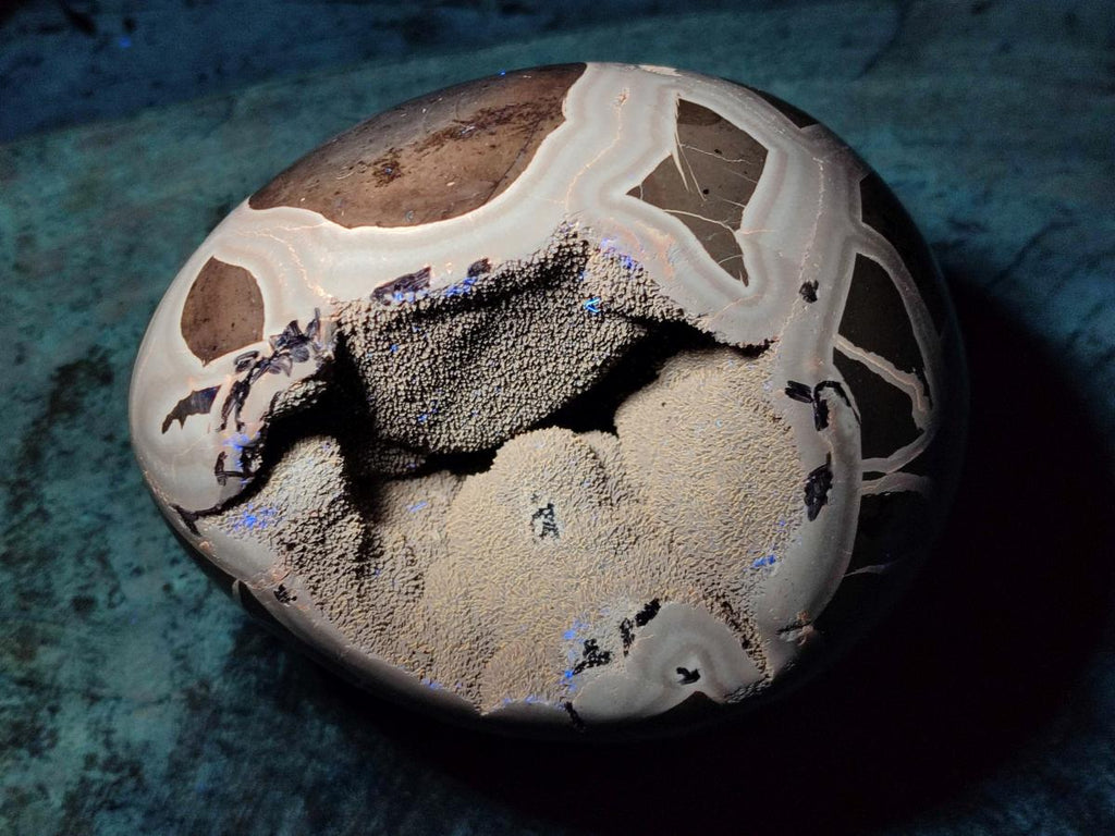 Polished Large Septerye Sauvage "Dragons Egg" x 1 From Mahajanga, Madagascar