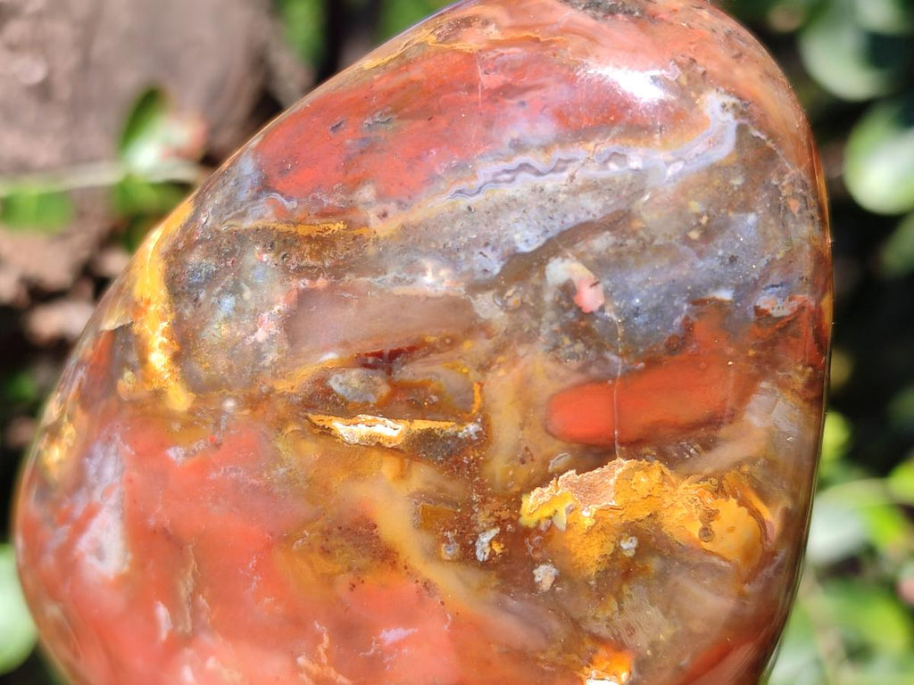 Polished Red Podocarpus Petrified Wood Standing Display Piece x 1 From Mahajanga, Madagascar