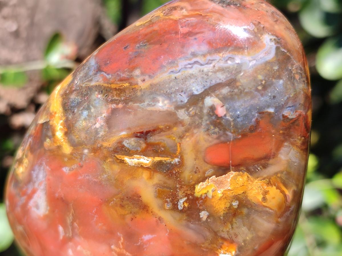 Polished Red Podocarpus Petrified Wood Standing Display Piece x 1 From Mahajanga, Madagascar