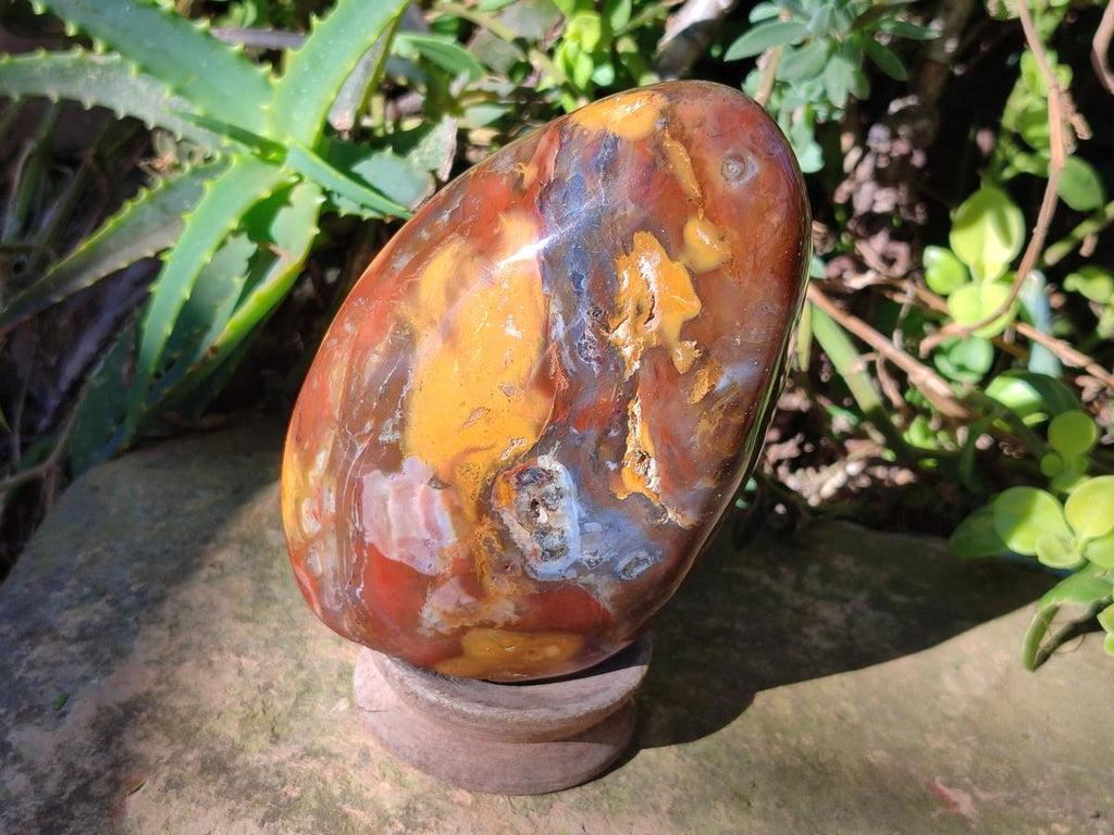 Polished Red Podocarpus Petrified Wood Standing Display Piece x 1 From Mahajanga, Madagascar