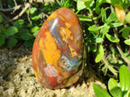 Polished Red Podocarpus Petrified Wood Standing Display Piece x 1 From Mahajanga, Madagascar