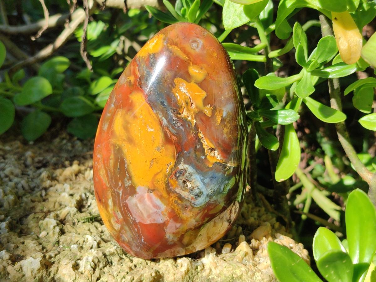 Polished Red Podocarpus Petrified Wood Standing Display Piece x 1 From Mahajanga, Madagascar