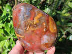 Polished Red Podocarpus Petrified Wood Standing Display Piece x 1 From Mahajanga, Madagascar
