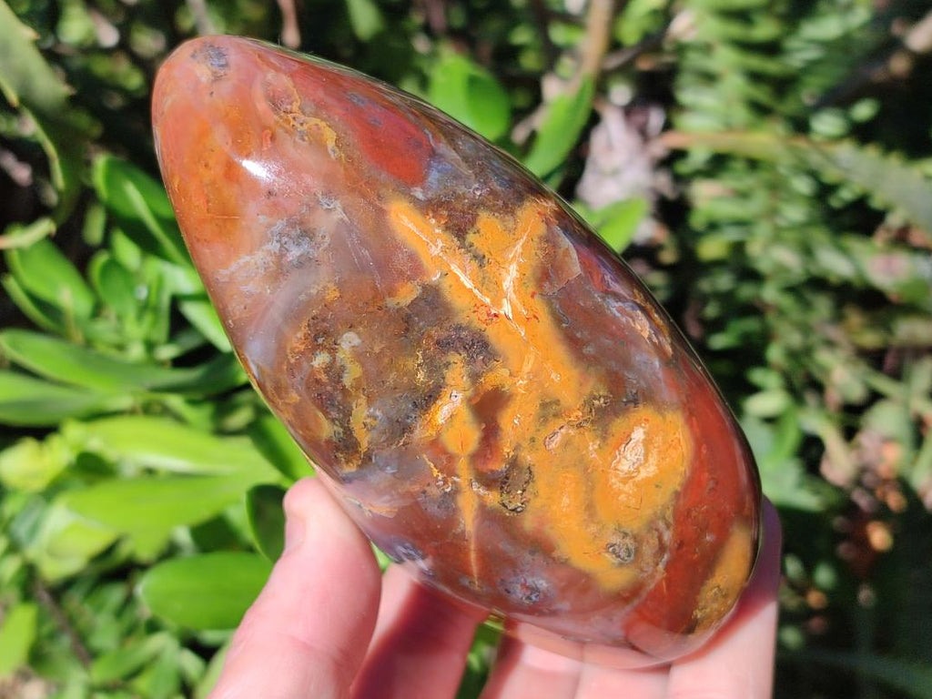 Polished Red Podocarpus Petrified Wood Standing Display Piece x 1 From Mahajanga, Madagascar