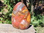 Polished Red Podocarpus Petrified Wood Standing Display Piece x 1 From Mahajanga, Madagascar