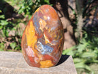 Polished Red Podocarpus Petrified Wood Standing Display Piece x 1 From Mahajanga, Madagascar