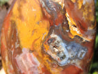 Polished Red Podocarpus Petrified Wood Standing Display Piece x 1 From Mahajanga, Madagascar