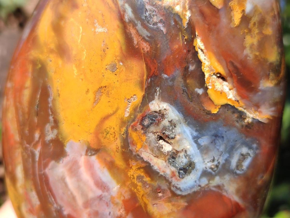 Polished Red Podocarpus Petrified Wood Standing Display Piece x 1 From Mahajanga, Madagascar