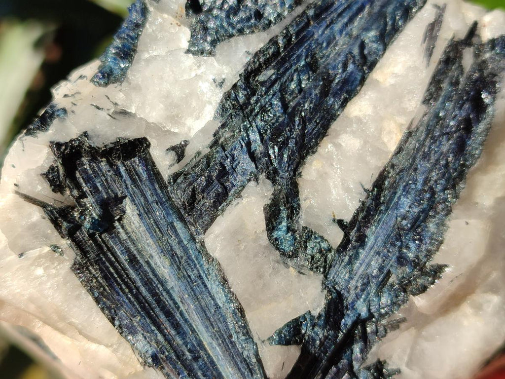 Natural Rare Blue Indicolite Tourmaline Crystals in White Quartz x 1 From Karibib, Namibia