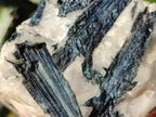 Natural Rare Blue Indicolite Tourmaline Crystals in White Quartz x 1 From Karibib, Namibia