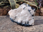 Natural Rare Blue Indicolite Tourmaline Crystals in White Quartz x 1 From Karibib, Namibia