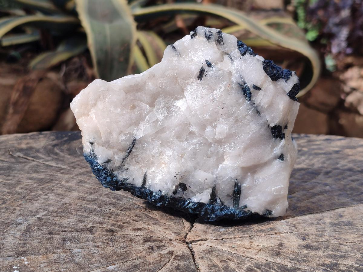 Natural Rare Blue Indicolite Tourmaline Crystals in White Quartz x 1 From Karibib, Namibia