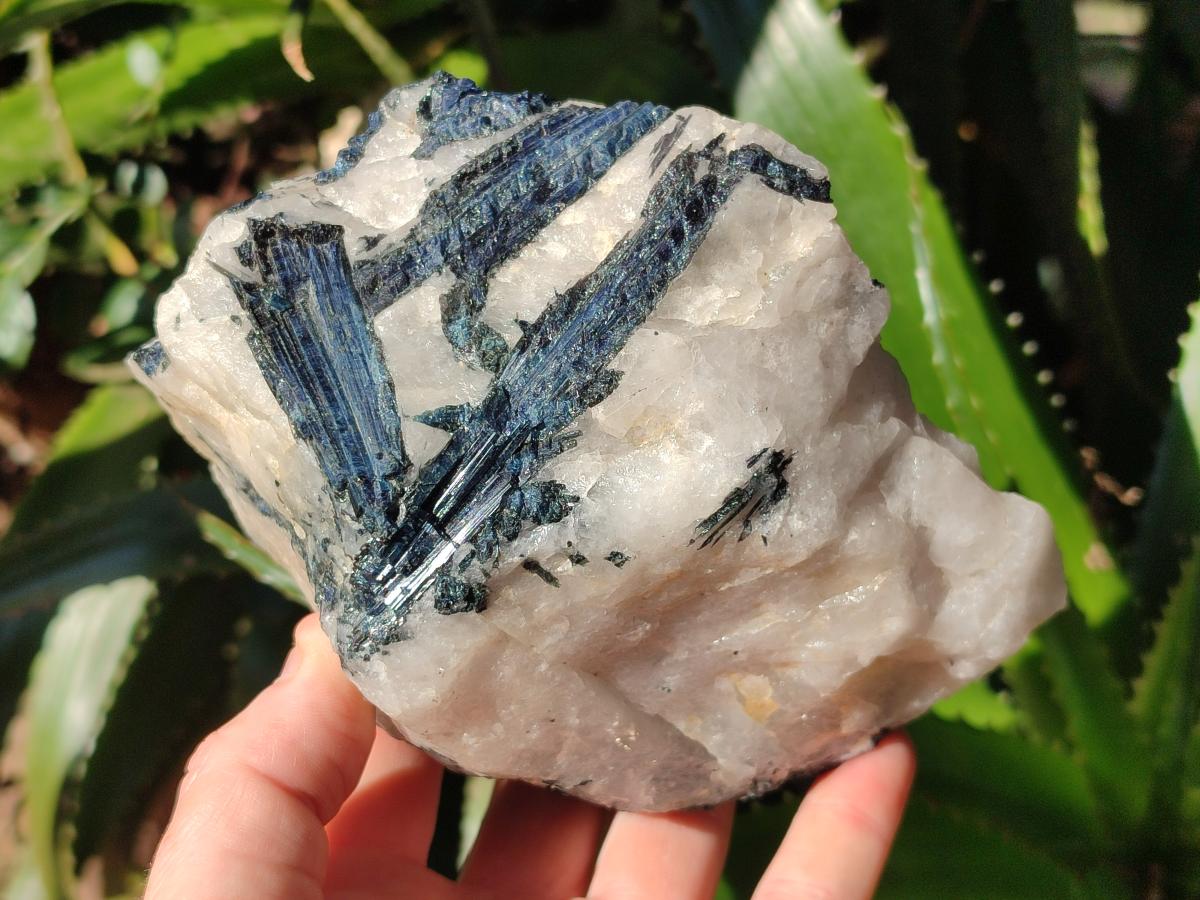 Natural Rare Blue Indicolite Tourmaline Crystals in White Quartz x 1 From Karibib, Namibia