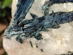 Natural Rare Blue Indicolite Tourmaline Crystals in White Quartz x 1 From Karibib, Namibia