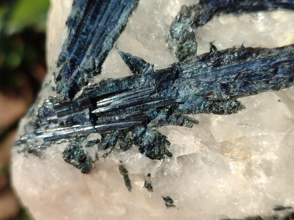 Natural Rare Blue Indicolite Tourmaline Crystals in White Quartz x 1 From Karibib, Namibia