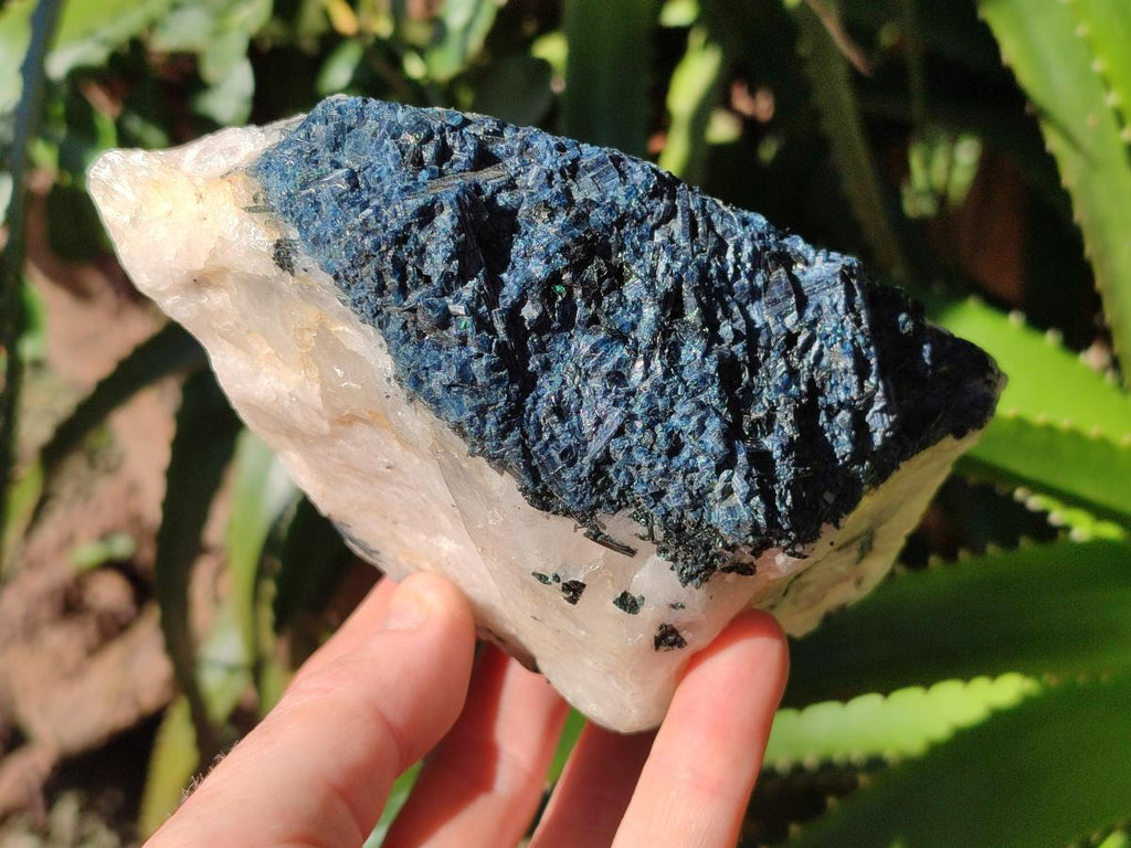 Natural Rare Blue Indicolite Tourmaline Crystals in White Quartz x 1 From Karibib, Namibia