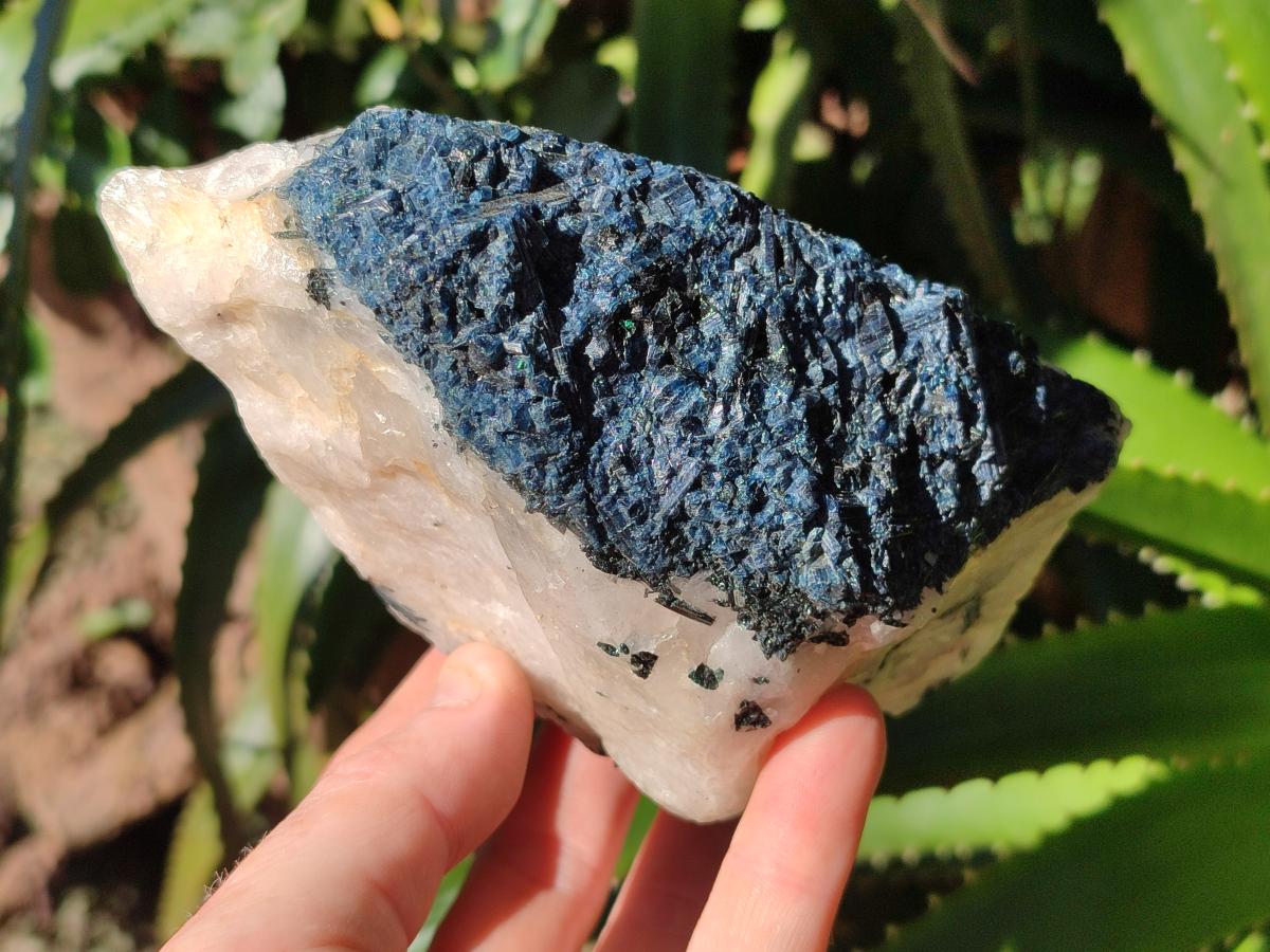 Natural Rare Blue Indicolite Tourmaline Crystals in White Quartz x 1 From Karibib, Namibia