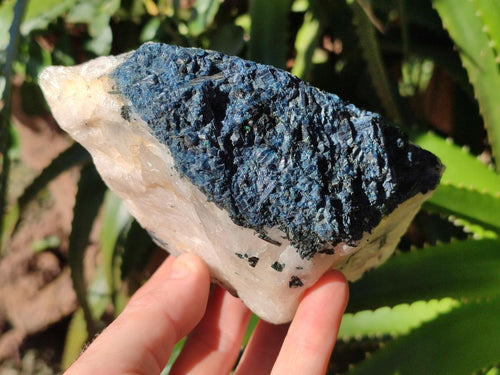 Natural Rare Blue Indicolite Tourmaline Crystals in White Quartz x 1 From Karibib, Namibia