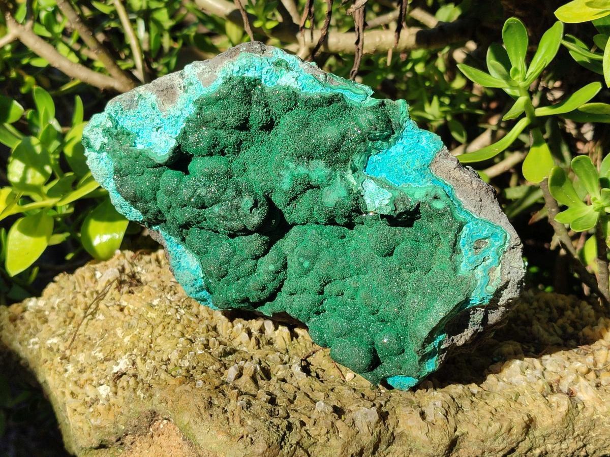 Natural Botryoidal Crystalline Malachite Specimen with Chrysocolla x 1 From Kolwezi, Congo