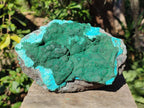 Natural Botryoidal Crystalline Malachite Specimen with Chrysocolla x 1 From Kolwezi, Congo