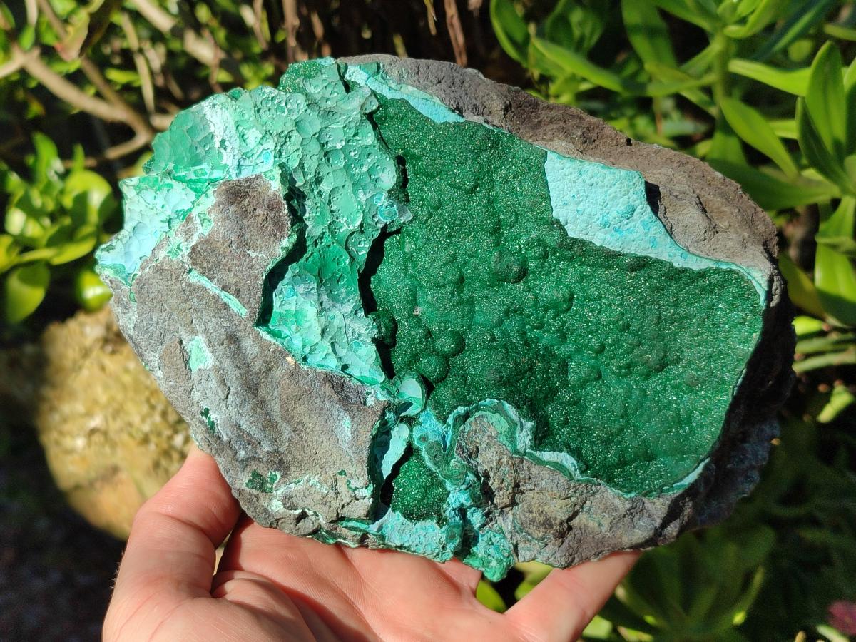 Natural Botryoidal Crystalline Malachite Specimen with Chrysocolla x 1 From Kolwezi, Congo