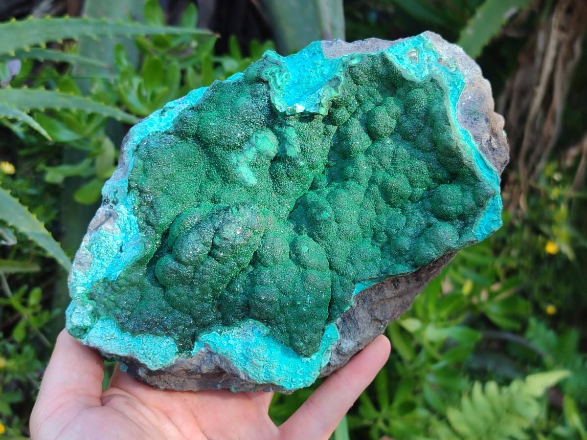 Natural Botryoidal Crystalline Malachite Specimen with Chrysocolla x 1 From Kolwezi, Congo