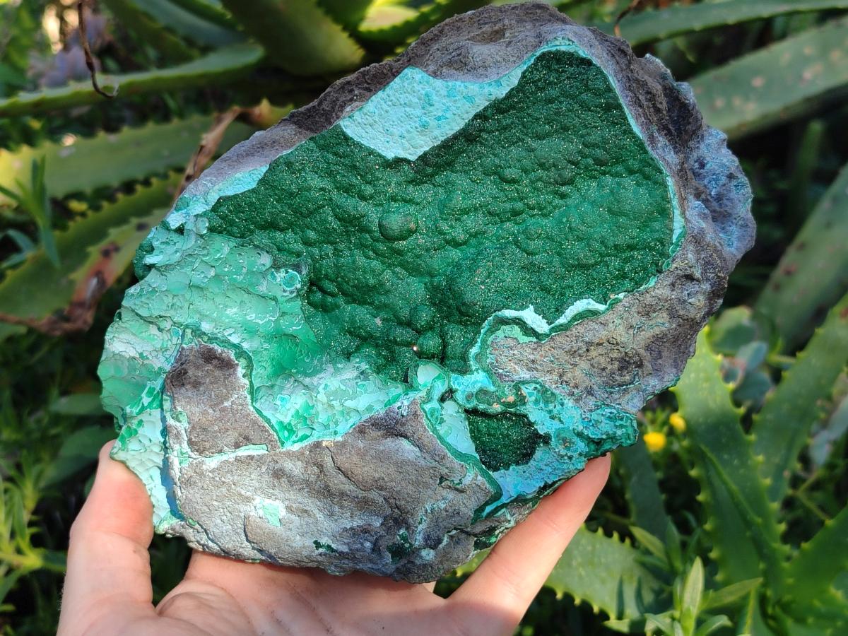 Natural Botryoidal Crystalline Malachite Specimen with Chrysocolla x 1 From Kolwezi, Congo