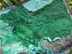 Natural Botryoidal Crystalline Malachite Specimen with Chrysocolla x 1 From Kolwezi, Congo