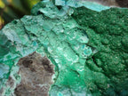 Natural Botryoidal Crystalline Malachite Specimen with Chrysocolla x 1 From Kolwezi, Congo