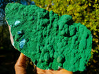 Natural Botryoidal Malachite Crystalline Plate Specimen x 1 From Kolwezi, Congo