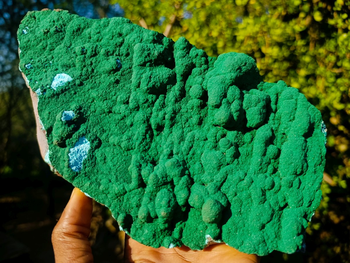 Natural Botryoidal Malachite Crystalline Plate Specimen x 1 From Kolwezi, Congo