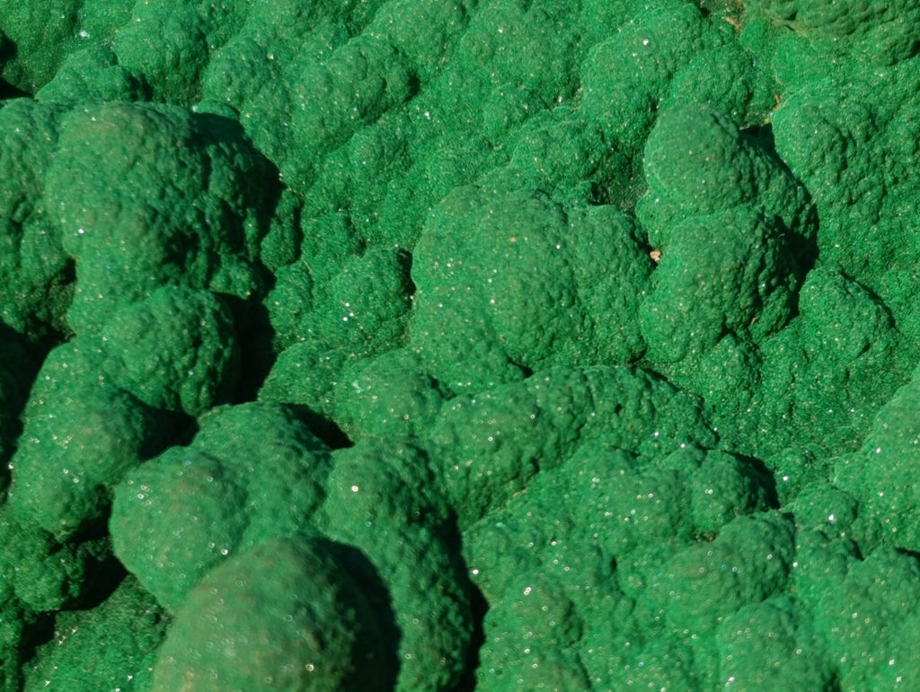 Natural Botryoidal Malachite Crystalline Plate Specimen x 1 From Kolwezi, Congo