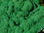 Natural Botryoidal Malachite Crystalline Plate Specimen x 1 From Kolwezi, Congo